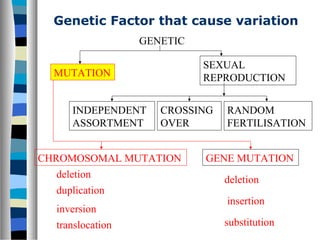 Genetic Factor that cause variation
GENETIC
MUTATION
SEXUAL
REPRODUCTION
CHROMOSOMAL MUTATION GENE MUTATION
INDEPENDENT
ASSORTMENT
CROSSING
OVER
RANDOM
FERTILISATION
duplication
inversion
translocation
deletion
deletion
insertion
substitution
 