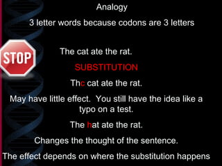 Analogy
3 letter words because codons are 3 letters
The cat ate the rat.
SUBSTITUTION
Thc cat ate the rat.
May have little effect. You still have the idea like a
typo on a test.
The hat ate the rat.
Changes the thought of the sentence.
The effect depends on where the substitution happens
 