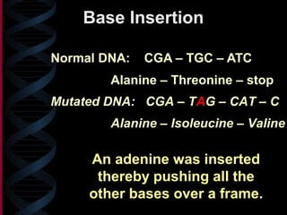 Normal DNA: CGA – TGC – ATC
Base Insertion
Mutated DNA: CGA – TAG – CAT – C
Alanine – Threonine – stop
Alanine – Isoleucine – Valine
An adenine was inserted
thereby pushing all the
other bases over a frame.
 