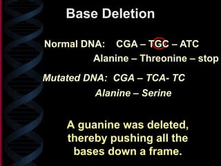 Mutated DNA: CGA – TCA- TC
A guanine was deleted,
thereby pushing all the
bases down a frame.
Alanine – Threonine – stop
Alanine – Serine
Base Deletion
Normal DNA: CGA – TGC – ATC
 