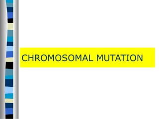 CHROMOSOMAL MUTATION
 