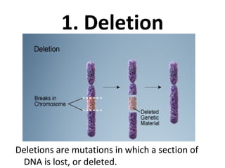 1. Deletion
Deletions are mutations in which a section of
DNA is lost, or deleted.
 