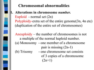 1. Alterations in chromosome number.
Euploid - normal set (2n)
Polyploidy-extra set of the entire genome(3n, 4n etc)
(duplication of the entire set of chromosomes)
Aneuploidy – the number of chromosomes is not
a multiple of the normal haploid number.
(a) Monosomy - one member of a chromosome
pair is missing (2n-1)
(b) Trisomy - one chromosome set consists
of 3 copies of a chromosome
(2n+1)
Chromosomal abnormalities
 