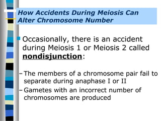  Occasionally, there is an accident
during Meiosis 1 or Meiosis 2 called
nondisjunction:
How Accidents During Meiosis Can
Alter Chromosome Number
– The members of a chromosome pair fail to
separate during anaphase I or II
– Gametes with an incorrect number of
chromosomes are produced
 
