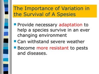 The Importance of Variation in
the Survival of A Spesies
 Provide necessary adaptation to
help a species survive in an ever
changing environment
 Can withstand severe weather
 Become more resistant to pests
and diseases.
 