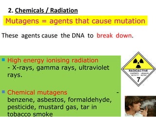  High energy ionising radiation
- X-rays, gamma rays, ultraviolet
rays.
 Chemical mutagens -
benzene, asbestos, formaldehyde,
pesticide, mustard gas, tar in
tobacco smoke
2. Chemicals / Radiation
These agents cause the DNA to break down.
Mutagens = agents that cause mutation
 