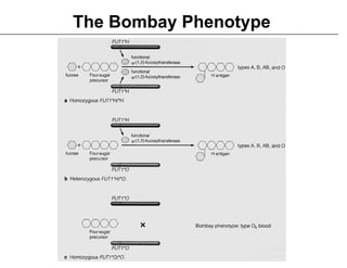 2 Variations to Mendelian Genetics on Life Science Content | PDF