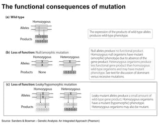 2 Variations to Mendelian Genetics on Life Science Content | PDF