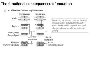 2 Variations to Mendelian Genetics on Life Science Content | PDF