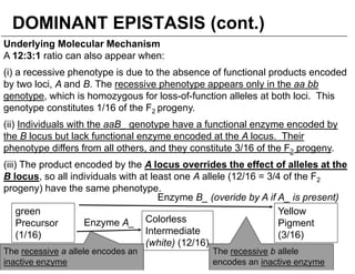 2 Variations to Mendelian Genetics on Life Science Content | PDF