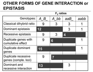 2 Variations to Mendelian Genetics on Life Science Content | PDF
