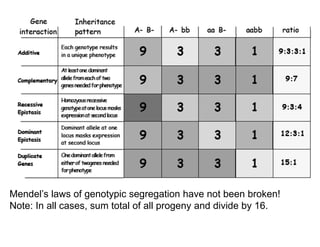 2 Variations to Mendelian Genetics on Life Science Content | PDF
