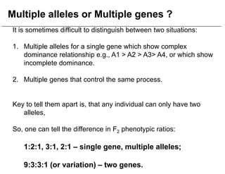 2 Variations to Mendelian Genetics on Life Science Content | PDF