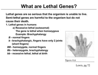 2 Variations to Mendelian Genetics on Life Science Content | PDF