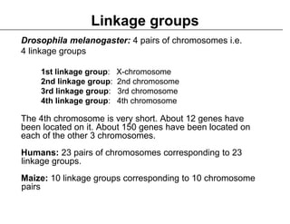 2 Variations to Mendelian Genetics on Life Science Content | PDF