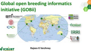 Global open breeding informatics
initiative (GOBii)
Rajeev K Varshney
 