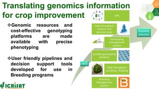 Research Program Genetic Gains (RPGG) Review Meeting 2021: Update on Global open breeding informatics initiative  By Dr Rajeev K Varshney