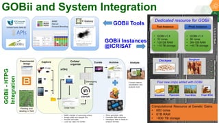 Research Program Genetic Gains (RPGG) Review Meeting 2021: Update on Global open breeding informatics initiative  By Dr Rajeev K Varshney