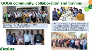 Research Program Genetic Gains (RPGG) Review Meeting 2021: Update on Global open breeding informatics initiative  By Dr Rajeev K Varshney