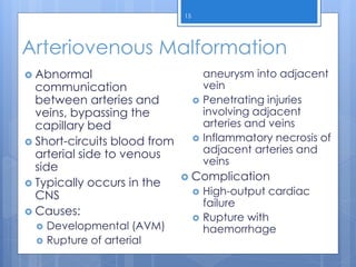 2_Vasculature Pathology of blood vessels.pdf