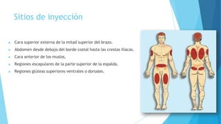 Sitios de inyección
▶ Cara superior externa de la mitad superior del brazo.
▶ Abdomen desde debajo del borde costal hasta las crestas iliacas.
▶ Cara anterior de los muslos.
▶ Regiones escapulares de la parte superior de la espalda.
▶ Regiones glúteas superiores ventrales o dorsales.
 