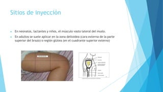 Sitios de inyección
▶ En neonatos, lactantes y niños, el músculo vasto lateral del muslo.
▶ En adultos se suele aplicar en la zona deltoidea (cara externa de la parte
superior del brazo) o región glútea (en el cuadrante superior externo)
 