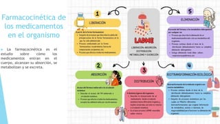 Farmacocinética de
los medicamentos
en el organismo
▶ La farmacocinética es el
estudio sobre cómo los
medicamentos entran en el
cuerpo, alcanzan su absorción, se
metabolizan y se excreta.
 