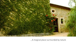 ...A magical place surrounded by nature
 