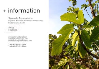 + information
Serra de Tramuntana
Esporles. Mallorca. (Northeast of the Island)
Guidance Villa: South
Price
€ 2,250,000
mrossellofrau@gmail.com
salva@grupoteleviajes.com
info@casasalquilermallorca.com
T. +34 619 648 523. Salva
T. +34 696 224 219. Maria
 