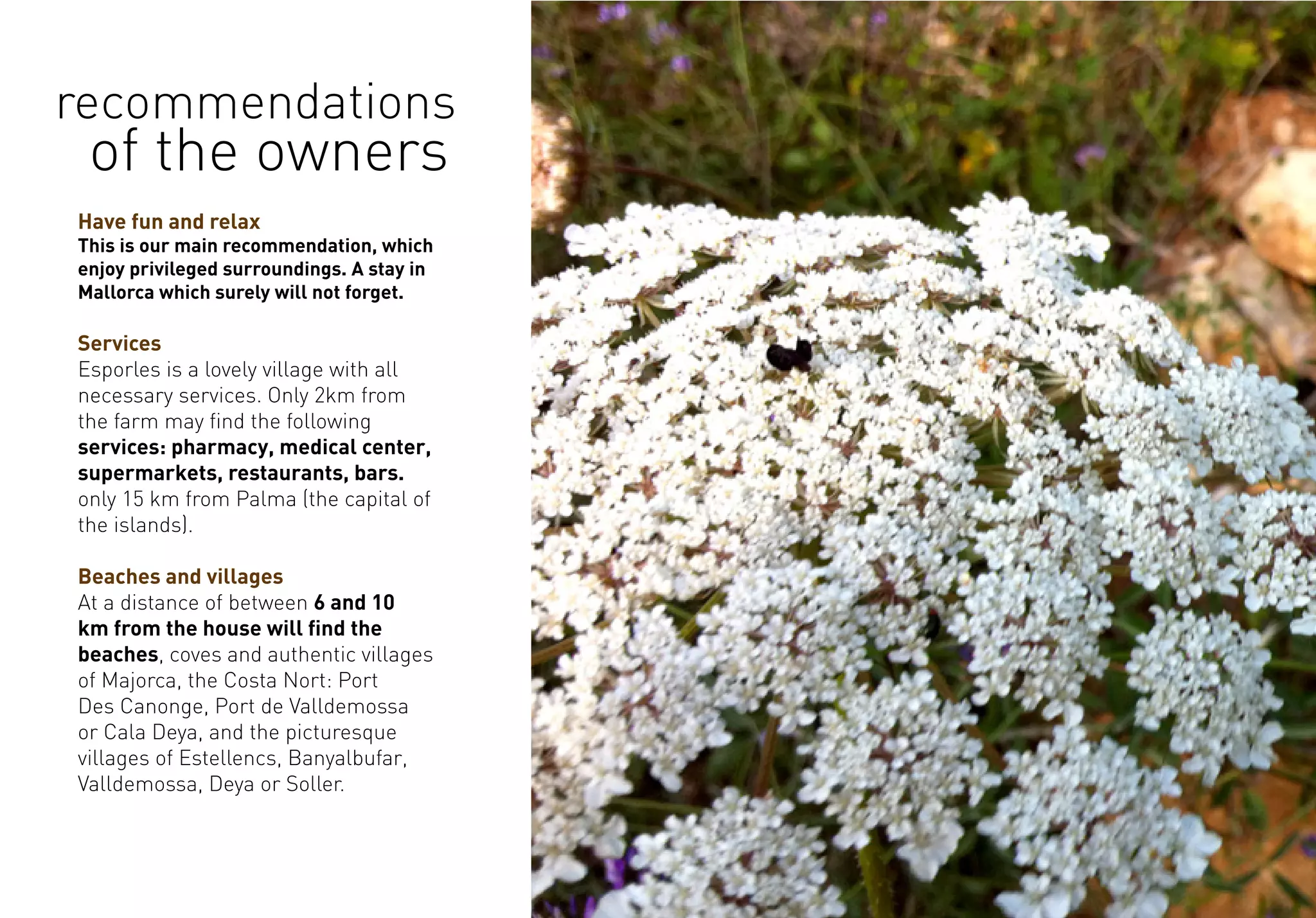 Have fun and relax
This is our main recommendation, which
enjoy privileged surroundings. A stay in
Mallorca which surely will not forget.
Services
Esporles is a lovely village with all
necessary services. Only 2km from
the farm may find the following
services: pharmacy, medical center,
supermarkets, restaurants, bars.
only 15 km from Palma (the capital of
the islands).
Beaches and villages
At a distance of between 6 and 10
km from the house will find the
beaches, coves and authentic villages
of Majorca, the Costa Nort: Port
Des Canonge, Port de Valldemossa
or Cala Deya, and the picturesque
villages of Estellencs, Banyalbufar,
Valldemossa, Deya or Soller.
recommendations
of the owners
 