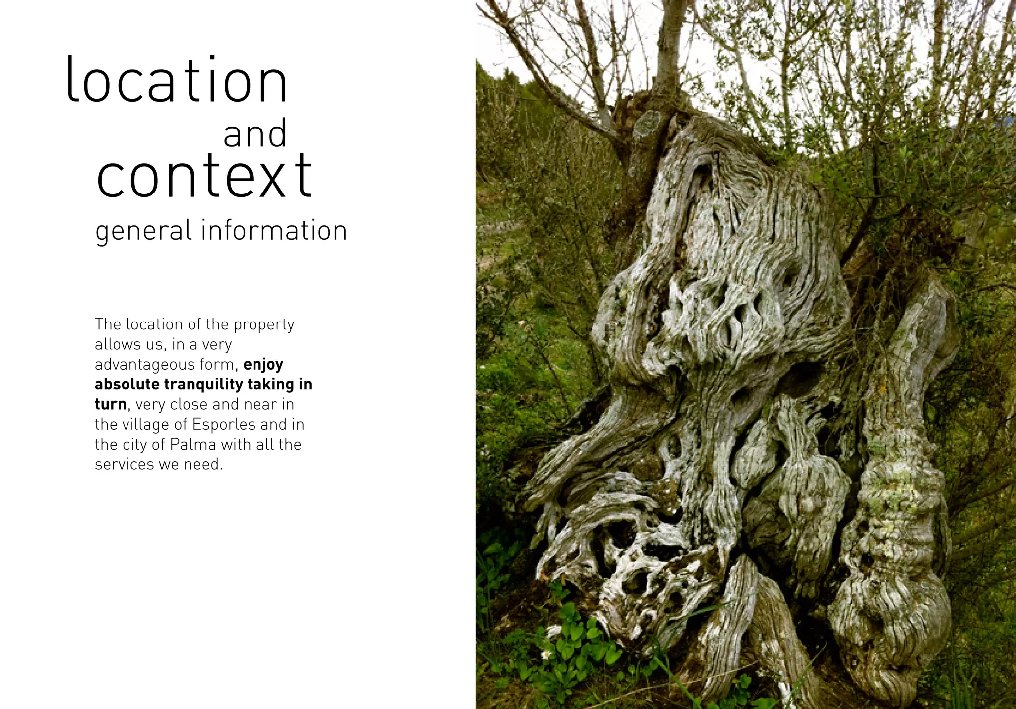 The location of the property
allows us, in a very
advantageous form, enjoy
absolute tranquility taking in
turn, very close and near in
the village of Esporles and in
the city of Palma with all the
services we need.
general information
location
and
context
 