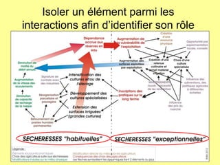 Isoler un élément parmi les
interactions afin d’identifier son rôle

DocGéo 2013 - Bénédicte VeyracBen Ahmed - GEODE

 