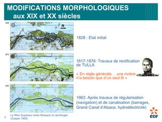 3
MODIFICATIONS MORPHOLOGIQUES
aux XIX et XX siècles
1963: Après travaux de régularisation
(navigation) et de canalisation (barrages,
Grand Canal d’Alsace, hydroélectricité)
Le Rhin Supérieur entre Breisach et Jechtingen
(Casper 1959)
N
1817-1876: Travaux de rectification
de TULLA
« En règle générale… une rivière
n’a besoin que d’un seul lit »
1828 : Etat initial
 