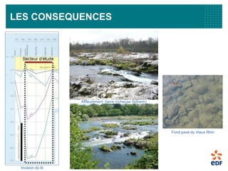 4
LES CONSEQUENCES
Fond pavé du Vieux Rhin
Affleurement barre rocheuse (Istheim)
Incision du lit
 