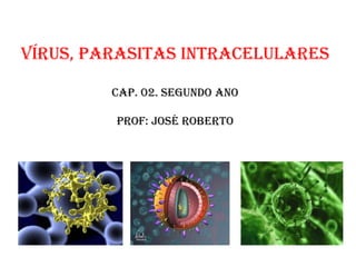 Vírus, parasitas intracelulares

         Cap. 02. Segundo ano

         Prof: José Roberto
 