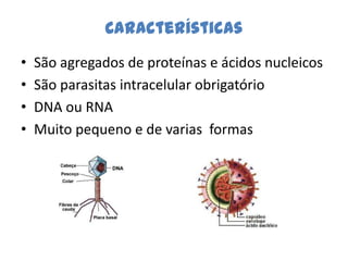 Características
•   São agregados de proteínas e ácidos nucleicos
•   São parasitas intracelular obrigatório
•   DNA ou RNA
•   Muito pequeno e de varias formas
 