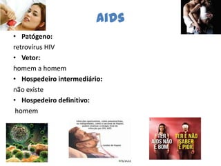 Aids
• Patógeno:
retrovírus HIV
• Vetor:
homem a homem
• Hospedeiro intermediário:
não existe
• Hospedeiro definitivo:
 homem
 
