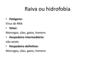 Raiva ou hidrofobia
• Patógeno:
Vírus de RNA
• Vetor:
Morcegos, cães, gatos, homens
• Hospedeiro intermediário:
não existe
• Hospedeiro definitivo:
Morcegos, cães, gatos, homens
 