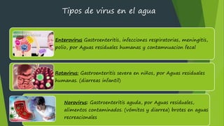 1,2 VIRUS Y PARASITOS MICRO - HIDROBIOLOGIA | PDF
