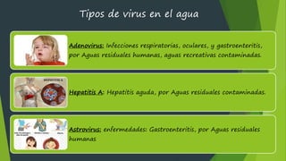 1,2 VIRUS Y PARASITOS MICRO - HIDROBIOLOGIA | PDF