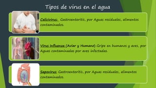 1,2 VIRUS Y PARASITOS MICRO - HIDROBIOLOGIA | PDF