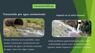 1,2 VIRUS Y PARASITOS MICRO - HIDROBIOLOGIA | PDF