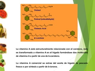La vitamina A está estructuralmente relacionada con el caroteno, éste
es transformado a vitamina A en el hígado formándose dos moléculas
de vitamina A a partir de una de b-caroteno.
La vitamina A comercial se extrae del aceite de hígado de pescado
fresco o por síntesis a partir de b-ionona.
 