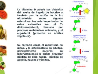 La vitamina D puede ser obtenida
del aceite de hígado de bacalao y
también por la acción de la luz
ultravioleta sobre algunos
esteroides. Los más importantes de
estos esteroides son el 7-
dihidrocolesterol, formado por
procesos metabólicos animales, y el
ergosterol (presente en aceites
vegetales).
Su carencia causa el raquitismo en
niños, y la osteomalacia en adultos,
principalmente mujeres. La
hipervitaminosis D puede provocar
pérdida de peso, fatiga, pérdida de
apetito, náusea y vómitos.
 