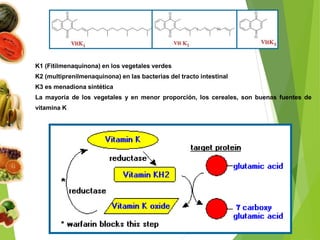 K1 (Fitilmenaquinona) en los vegetales verdes
K2 (multiprenilmenaquinona) en las bacterias del tracto intestinal
K3 es menadiona sintética
La mayoría de los vegetales y en menor proporción, los cereales, son buenas fuentes de
vitamina K
 