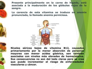 Presente principalmente en la carne de hígado, está
asociada a la maduración de los glóbulos rojos de la
sangre.
La carencia de esta vitamina se traduce en anemia
pronunciada, la llamada anemia perniciosa.
Niveles séricos bajos de vitamina B12, causados
primariamente por la menor absorción de personas
mayores con menor acidez gástrica, son también
asociados con niveles más elevados de homocisteína.
Sus consecuencias no son del todo claras pero se cree
que puede incrementar el riesgo de enfermedades
vasculares y cáncer.
 