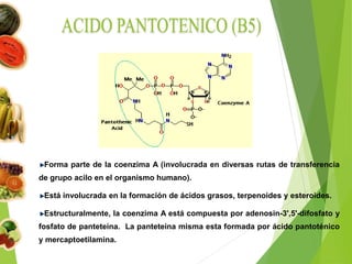 Forma parte de la coenzima A (involucrada en diversas rutas de transferencia
de grupo acilo en el organismo humano).
Está involucrada en la formación de ácidos grasos, terpenoides y esteroides.
Estructuralmente, la coenzima A está compuesta por adenosin-3',5'-difosfato y
fosfato de panteteina. La panteteina misma esta formada por ácido pantoténico
y mercaptoetilamina.
 