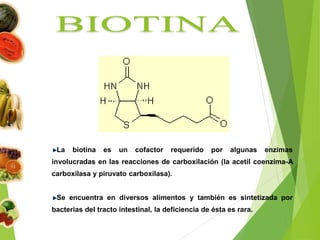 La biotina es un cofactor requerido por algunas enzimas
involucradas en las reacciones de carboxilación (la acetil coenzima-A
carboxilasa y piruvato carboxilasa).
Se encuentra en diversos alimentos y también es sintetizada por
bacterias del tracto intestinal, la deficiencia de ésta es rara.
 