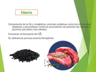 Componente de la Hb y mioglobina, enzimas oxidativas como los citrocromos,
catalasas y peroxidasas.-contra la acumulación de peróxido de hidrógeno
(químico que daña a las células).
Favorecen el transporte de O2.
Su deficiencia provoca anemia ferropénica
 