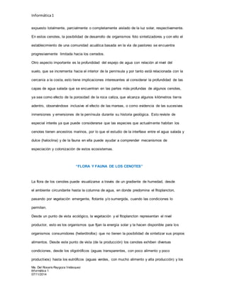 Informática1
Ma. Del Rosario Raygoza Velásquez
Informática 1
07/11/2014
expuesto totalmente, parcialmente o completamente aislado de la luz solar, respectivamente.
En estos cenotes, la posibilidad de desarrollo de organismos foto sintetizadores y con ello el
establecimiento de una comunidad acuática basada en la vía de pastoreo se encuentra
progresivamente limitada hacia los cerrados.
Otro aspecto importante es la profundidad del espejo de agua con relación al nivel del
suelo, que se incrementa hacia el interior de la península y por tanto está relacionada con la
cercanía a la costa, esto tiene implicaciones interesantes al considerar la profundidad de las
capas de agua salada que se encuentran en las partes más profundas de algunos cenotes,
ya sea como efecto de la porosidad de la roca caliza, que alcanza algunos kilómetros tierra
adentro, observándose inclusive el efecto de las mareas, o como evidencia de las sucesivas
inmersiones y emersiones de la península durante su historia geológica. Esto reviste de
especial interés ya que puede considerarse que las especies que actualmente habitan los
cenotes tienen ancestros marinos, por lo que el estudio de la interfase entre el agua salada y
dulce (haloclina) y de la fauna en ella puede ayudar a comprender mecanismos de
especiación y colonización de estos ecosistemas.
“FLORA Y FAUNA DE LOS CENOTES”
La flora de los cenotes puede visualizarse a través de un gradiente de humedad, desde
el ambiente circundante hasta la columna de agua, en donde predomina el fitoplancton,
pasando por vegetación emergente, flotante y/o sumergida, cuando las condiciones lo
permiten.
Desde un punto de vista ecológico, la vegetación y el fitoplancton representan el nivel
productor, esto es los organismos que fijan la energía solar y la hacen disponible para los
organismos consumidores (heterótrofos) que no tienen la posibilidad de sintetizar sus propios
alimentos. Desde este punto de vista (de la producción) los cenotes exhiben diversas
condiciones, desde los oligotróficos (aguas transparentes, con poco alimento y poco
productivos) hasta los eutróficos (aguas verdes, con mucho alimento y alta producción) y los
 